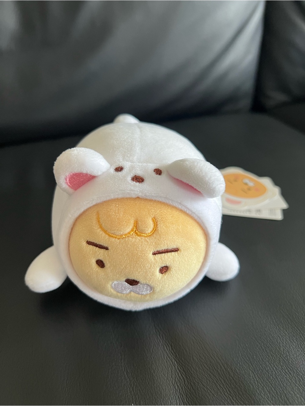 Cute Kakao Friends Baby Ryan with Mouse Hoodie